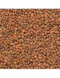 Lentilhas Castanhas a...