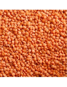 Lentilhas Vermelhas Outros... 2