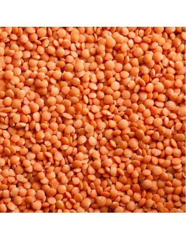 Lentilhas Vermelhas Outros Montes