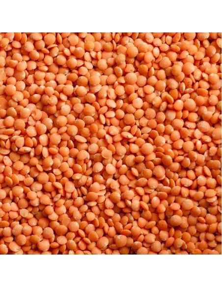 Red Lentils Outros Montes