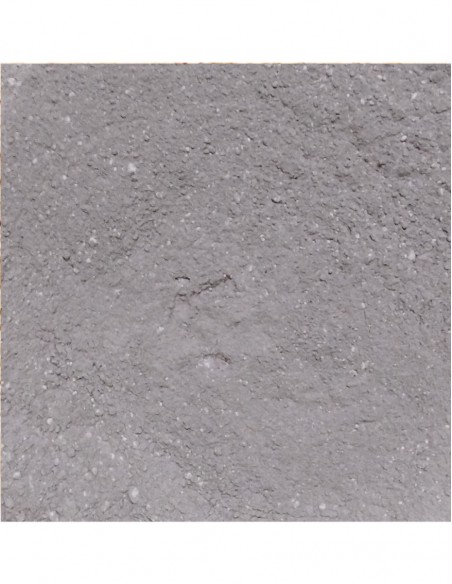 Vegan Cocoa Protein 65% Outros Montes