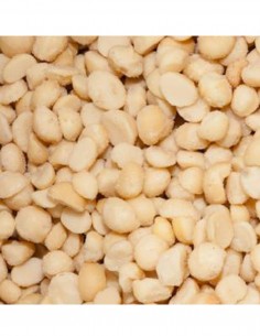 Macadamia Nuts Bulk Sale