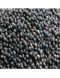 Black Pepper - Whole Outros... 2
