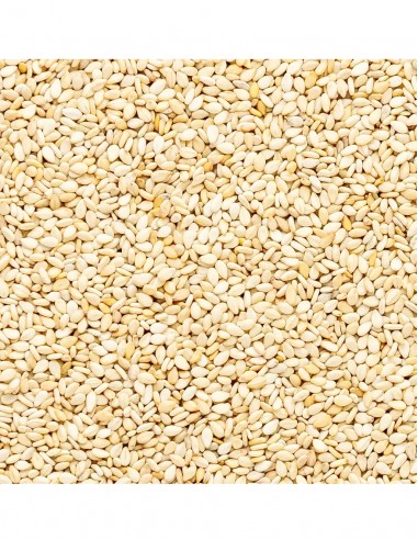 Sesame Seeds Outros Montes Sesame Seeds Outros Montes