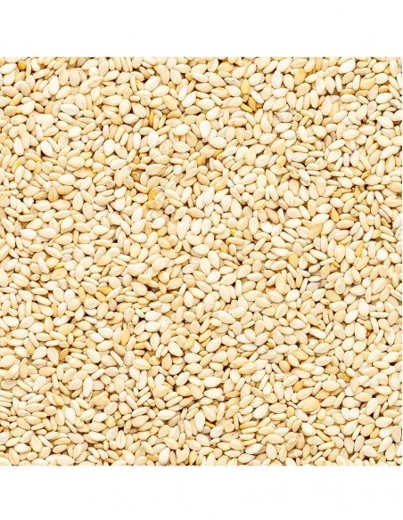Sesame Seeds Outros Montes