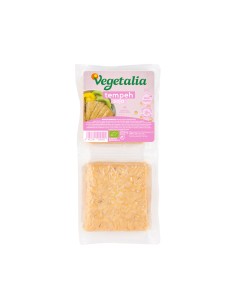 Natural Soy Tempeh