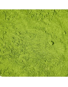 Matcha Outros Montes 2