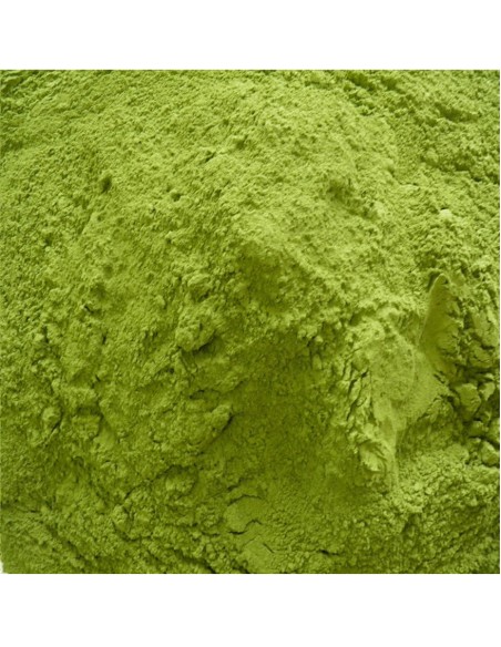 Moringa Outros Montes