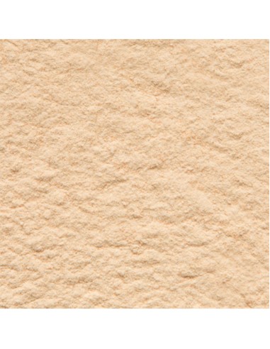 Lucuma powder Bulk Outros Montes