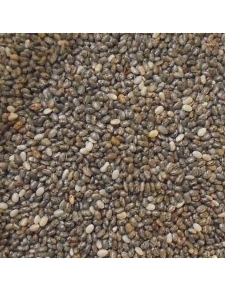 Sementes de Chia Outros Montes