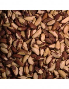 Brazilian Chestnut Bulk Sale