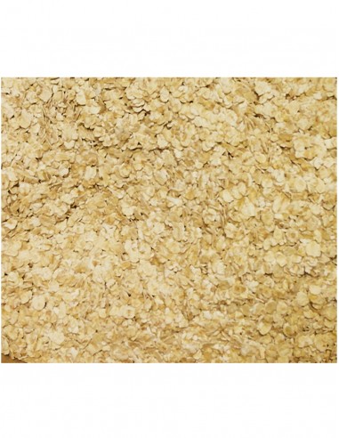 Nutritional Yeast Outros Montes