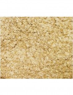 Nutritional Yeast Bulk...