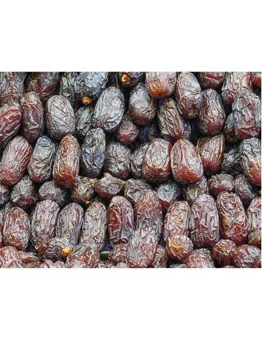 Medjool Dates Outros Montes