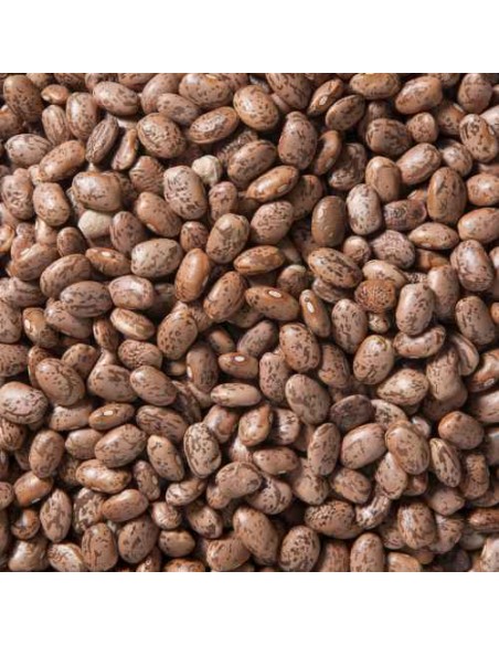 Feijão Catarino Outros Montes