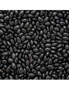 Feijão Preto Outros Montes 2