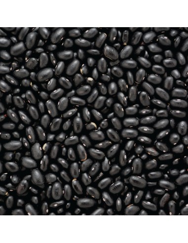 Feijão Preto Outros Montes