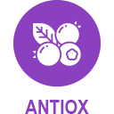 Antiox